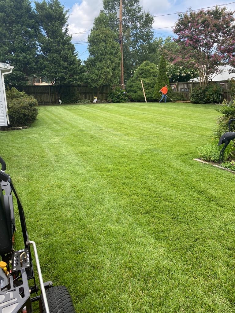 Aeration & Overseeding